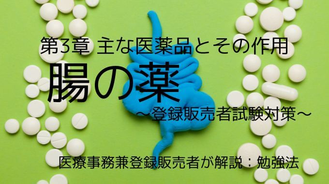 登録販売者試験の腸の薬について解説